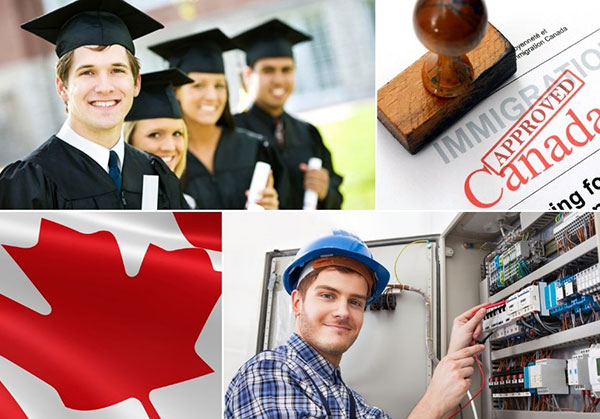 Làm sao để được làm việc và định cư tại Canada?